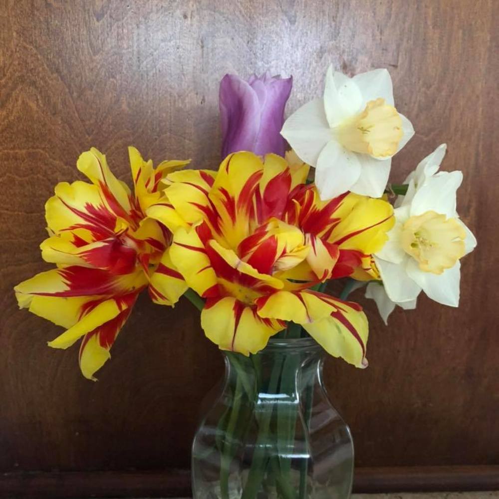 Meet your Posher, Kimberly